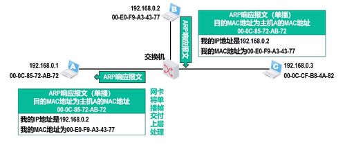 計(jì)算機(jī)網(wǎng)絡(luò)技術(shù)核心 深度解析網(wǎng)絡(luò)層